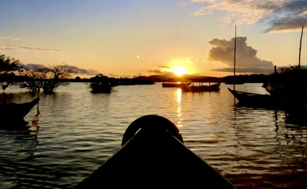 Brazilian Amazon Wellness Tour